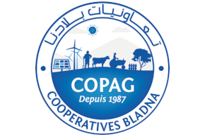 Copag Logo